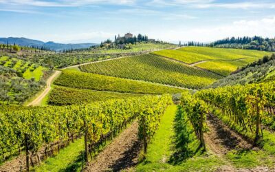 Zauber der Toskana – Italien